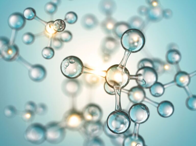 Réparation cellulaire durant le jeûne